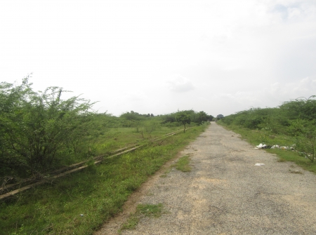 2) Li Id : 122 - Plot for Sale Near Tiruchanoor.JPG